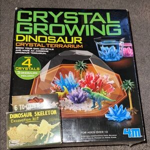 Crystal Growing Dinosaur Terrarium Kit - Multicolor
